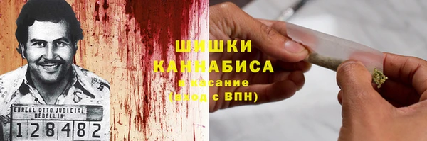 ПСИЛОЦИБИНОВЫЕ ГРИБЫ Абаза