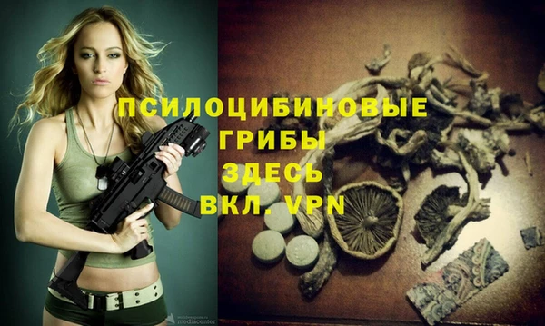 ALPHA-PVP Алексин