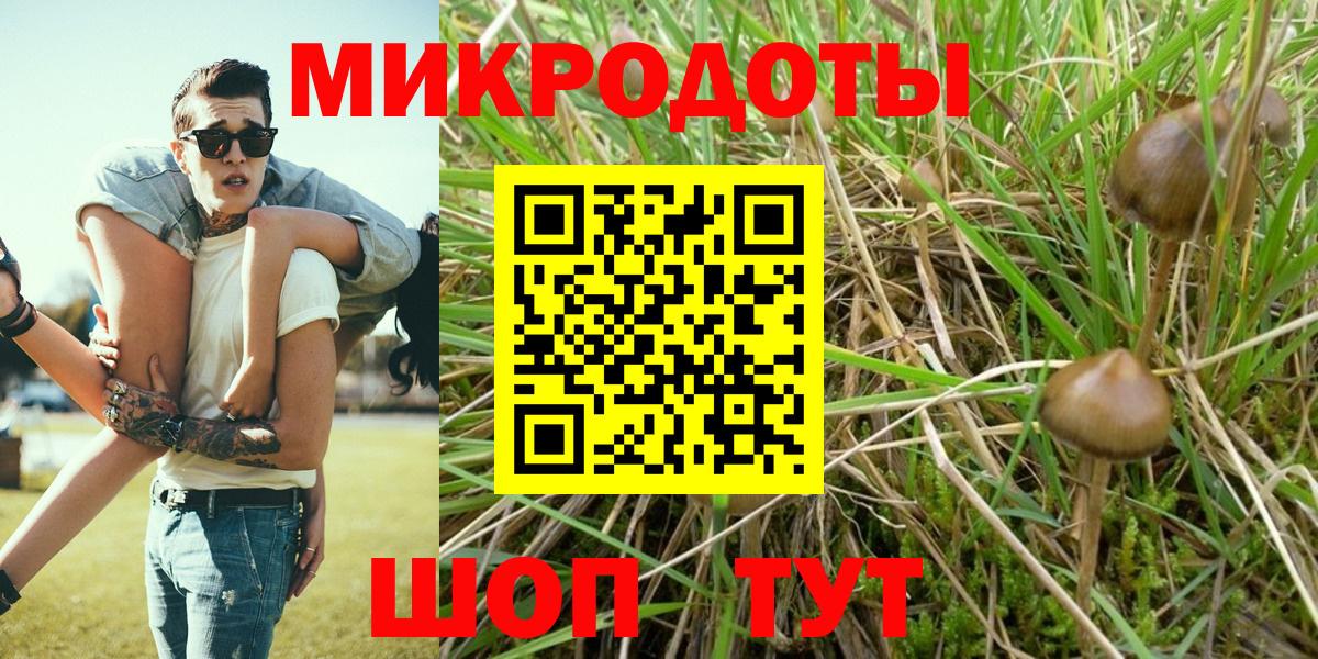 Галлюциногенные грибы мицелий  Вход с VPN  Казань  Псилоцибиновые грибы Cubensis 